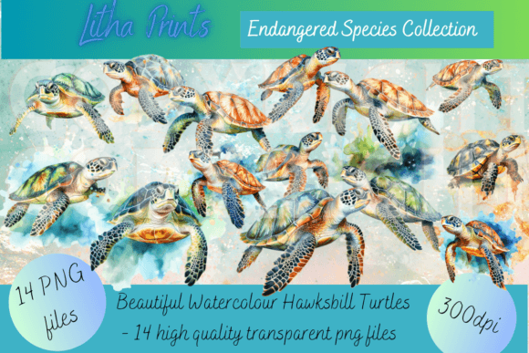 Watercolour Hawksbill Turtles: A Conservation Collection